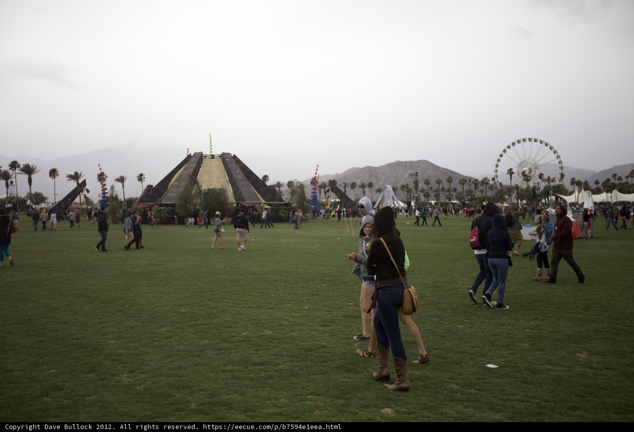 Fun in the Grassy Field