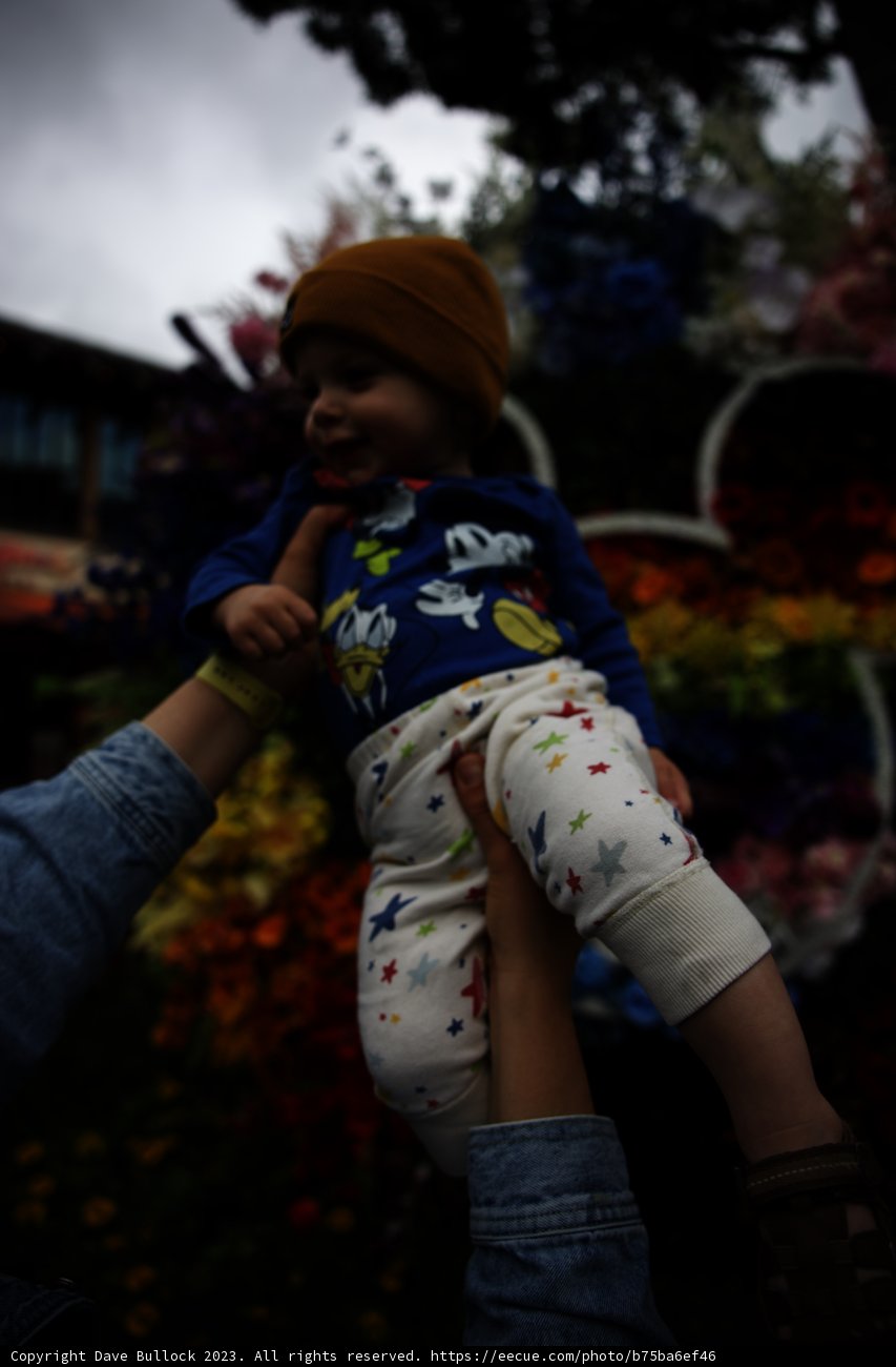 Blooming Memories at Disneyland