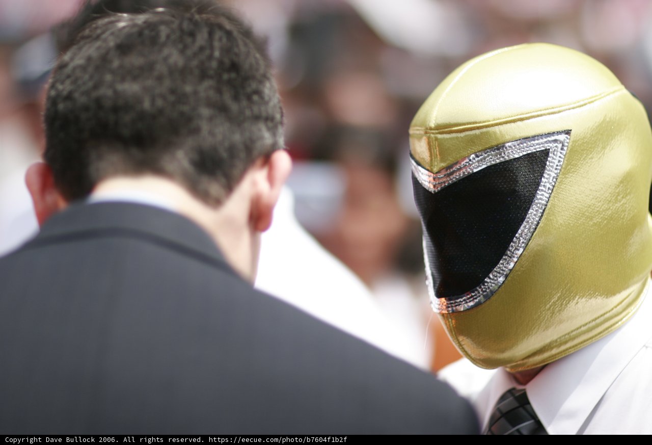 The Gold and Black Knight