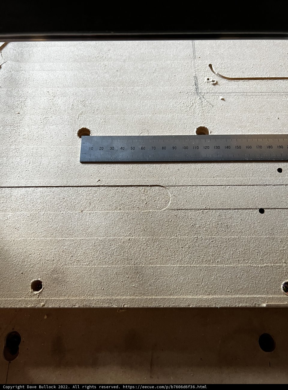 Measuring Termites' Damage