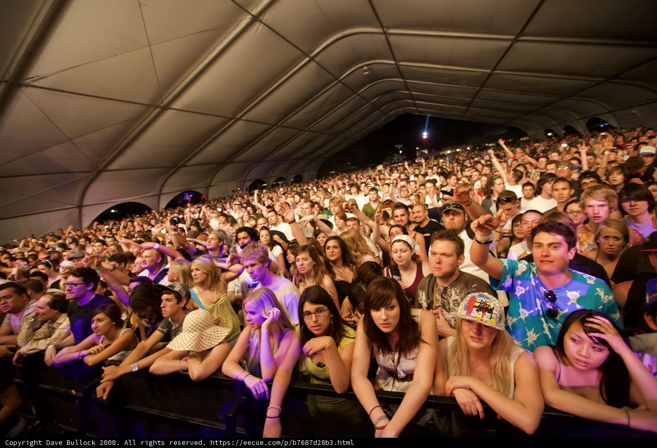 Crowd of Music Lovers Sway to the Beat at 2008 Coachella Concert