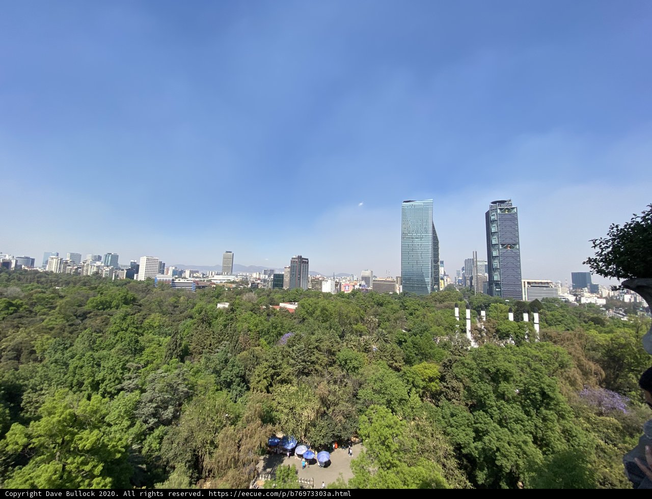 Overlooking the Urban Metropolis