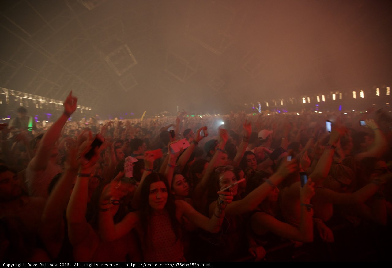 The Urban Crowd Comes Alive at Coachella