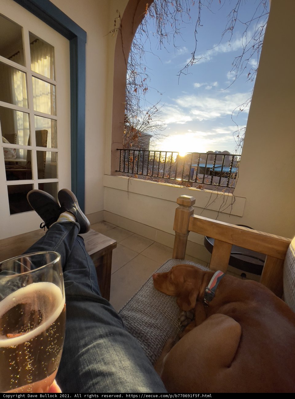 Relaxing on the Couch with a Glass of Wine