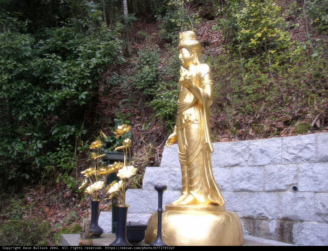 Golden Buddha Statue in the Woodland