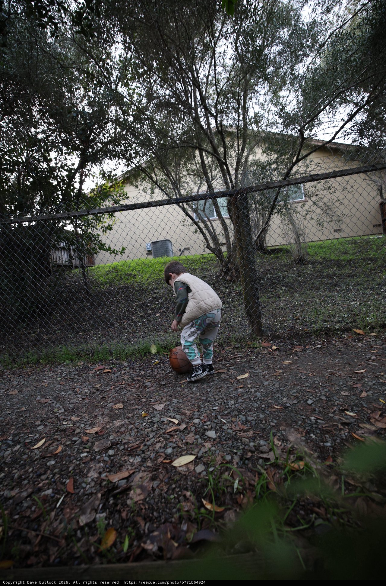Child Playing Basketball in Suburban Backyard