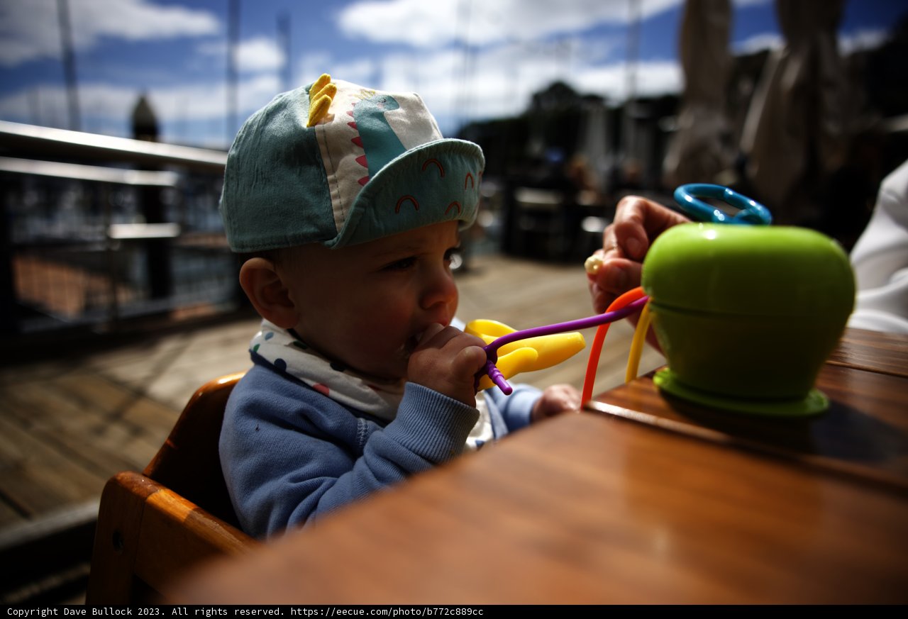 Little Explorer's Outdoor Adventure