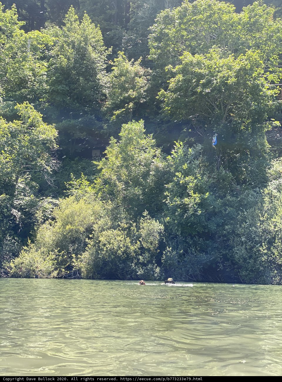Kayaking on the Serene Russian River