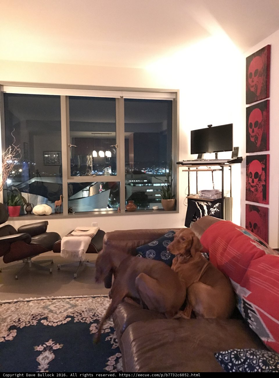 Two Canines Cuddling on a Cozy Couch