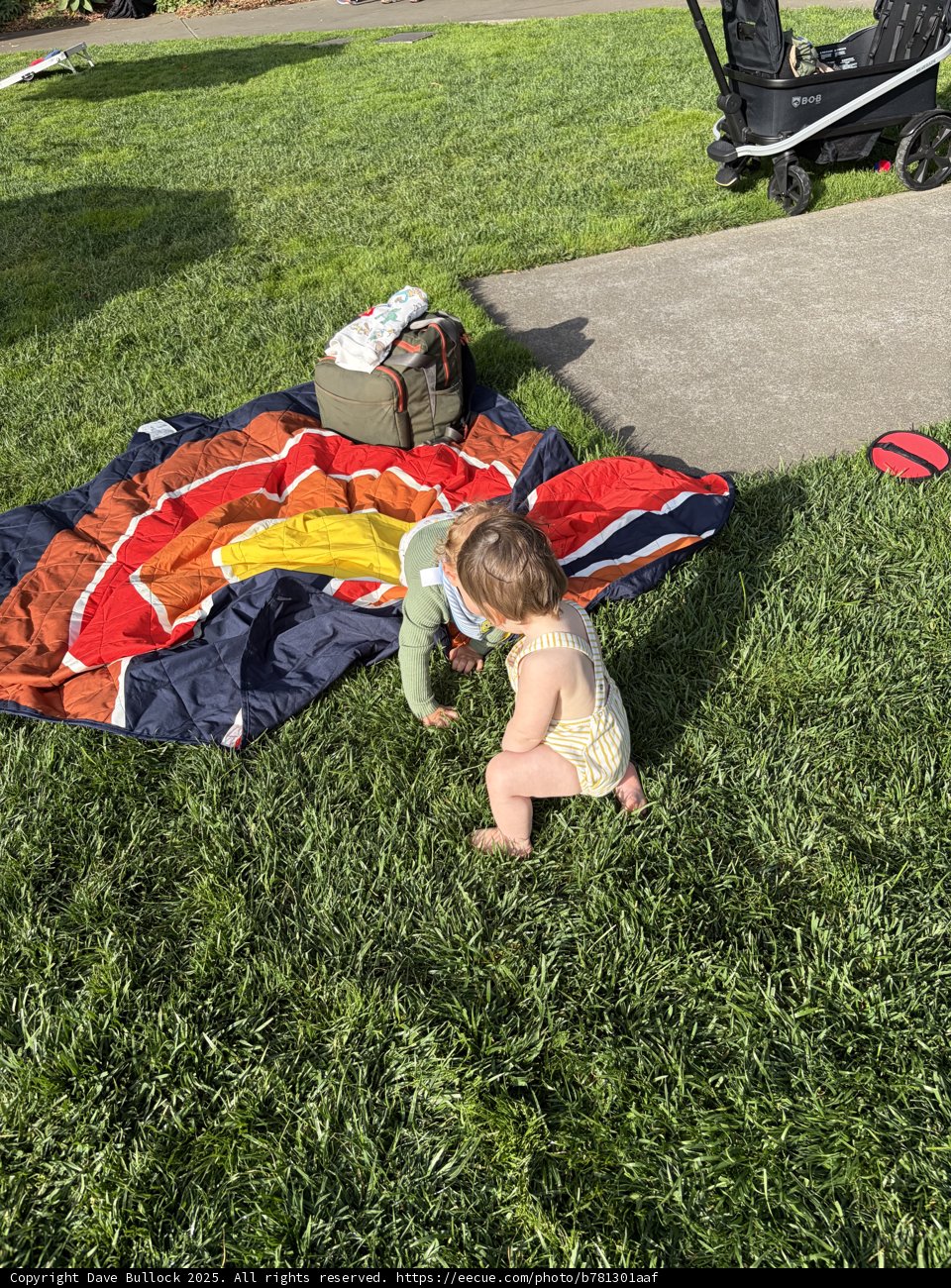 Afternoon Play at the Botanical Garden