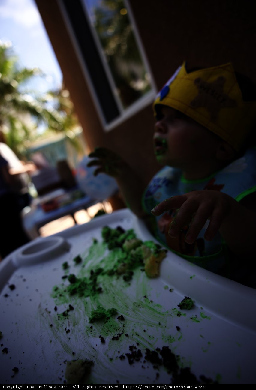 Wesley's First Birthday Extravaganza!