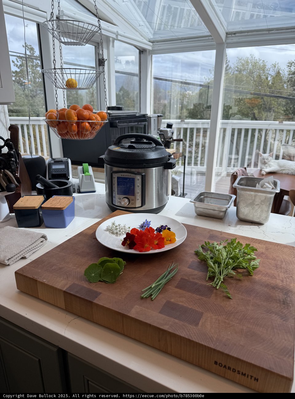 Culinary Delights and Cozy Corners