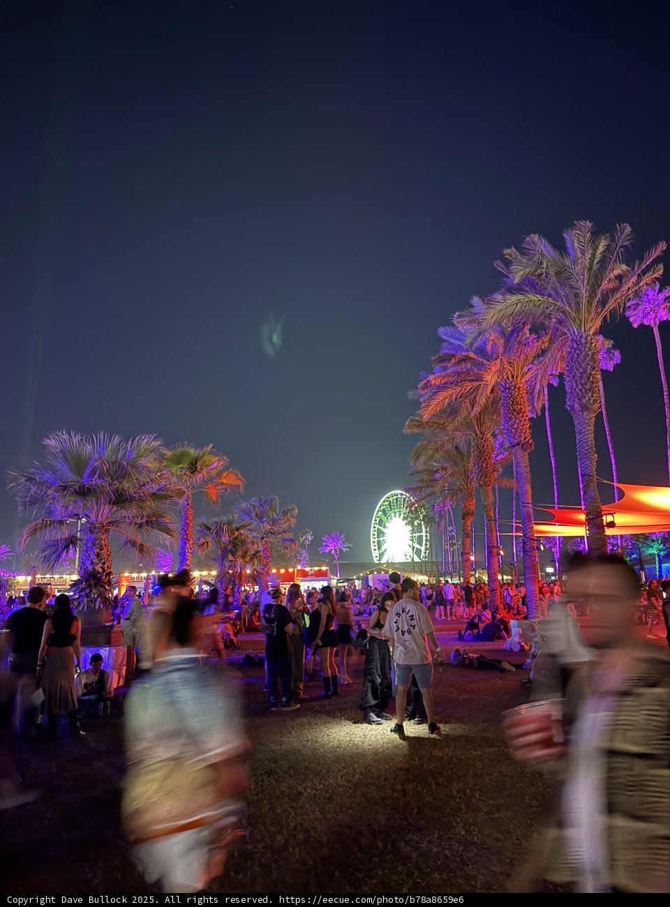 Electric Nights at Empire Polo