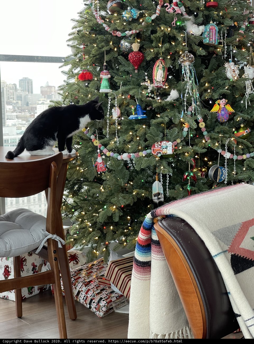 Festive Feline