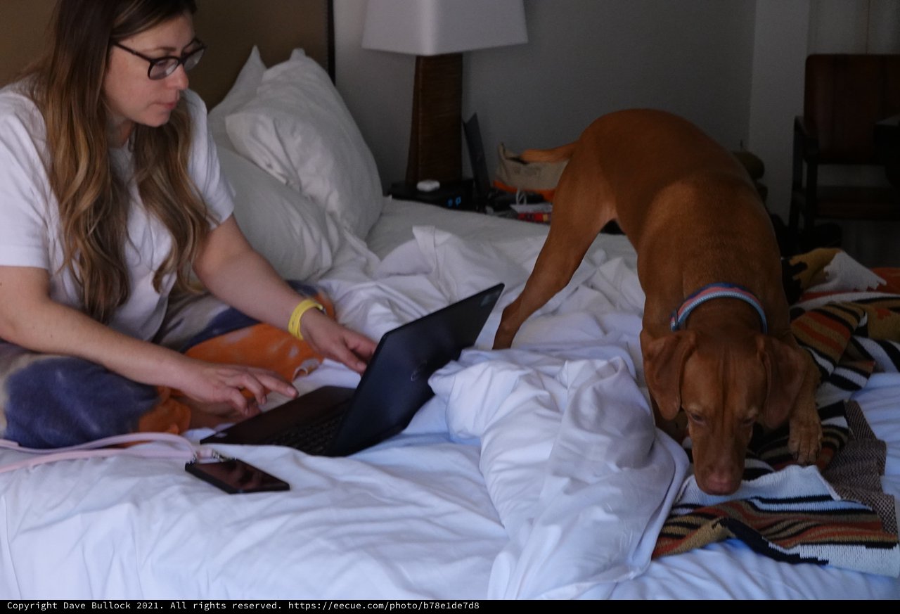 Woman and Dog Relaxing on Hotel Bed