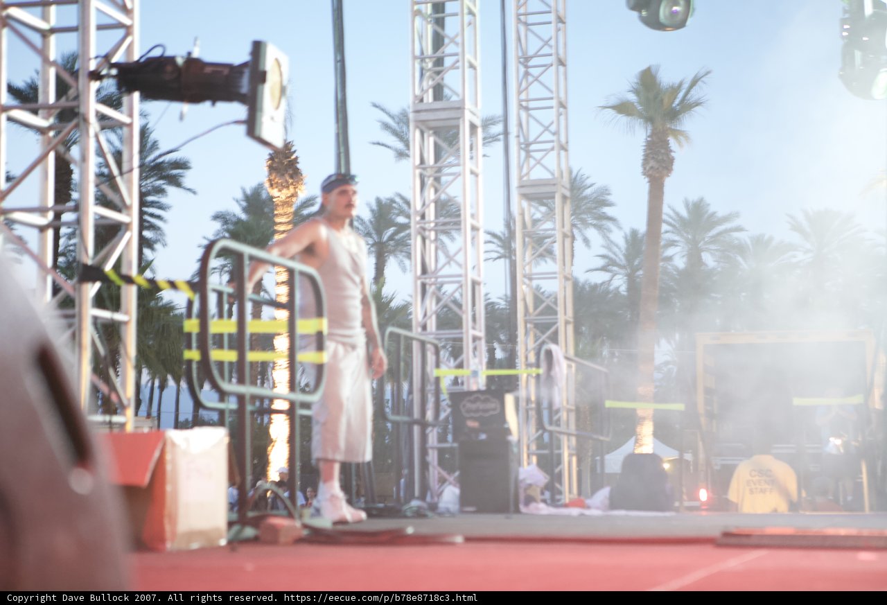 Musical Performance under the Palm Tree Sky