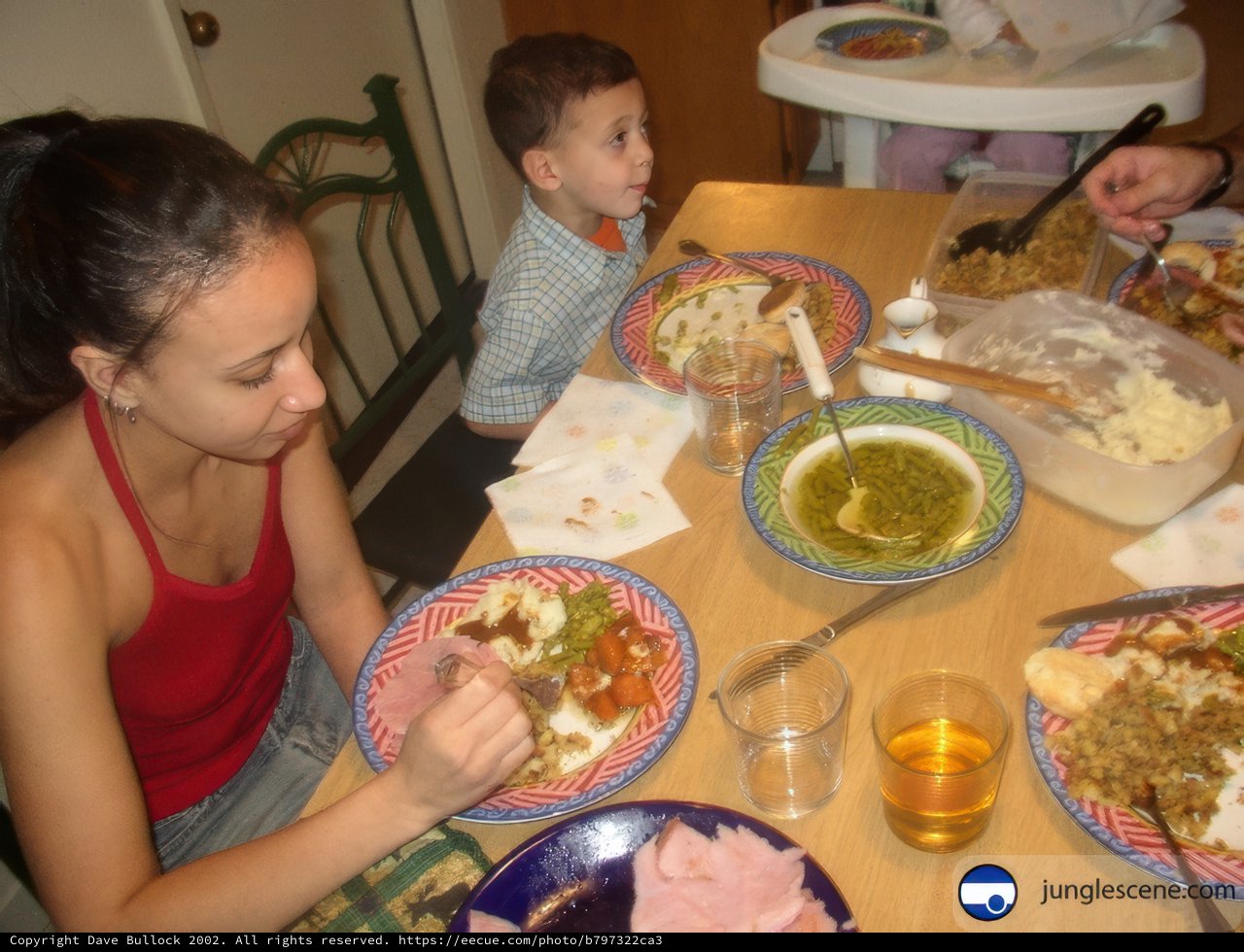Family Gathering for Christmas Lunch