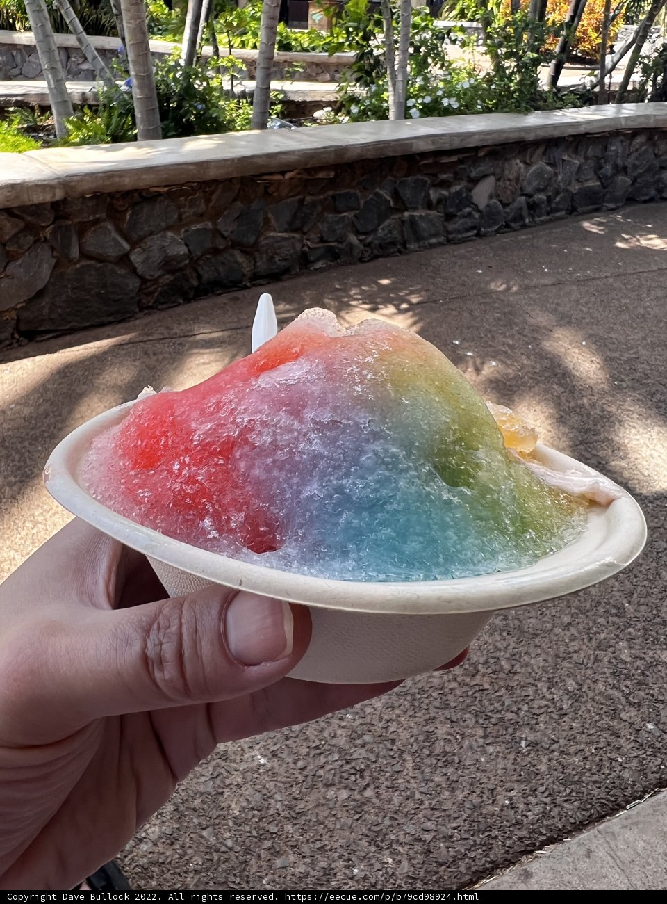Sweet Treat by the Seaside