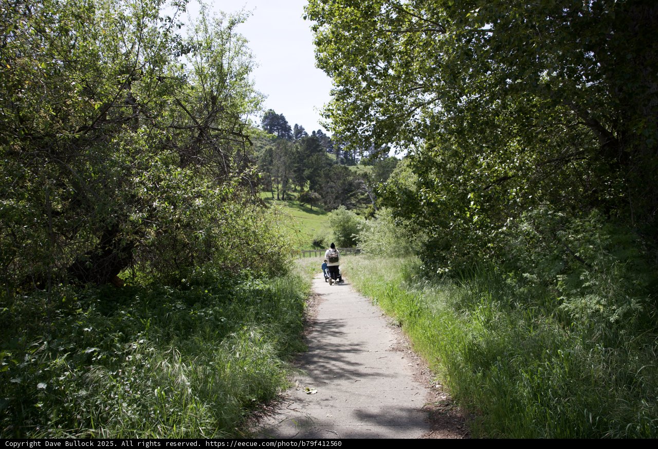 Strolling Through Nature's Embrace