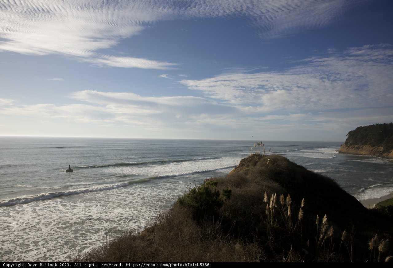 Immersed in Boundless Blue: Cliffside Perch at Halfmoon Bay