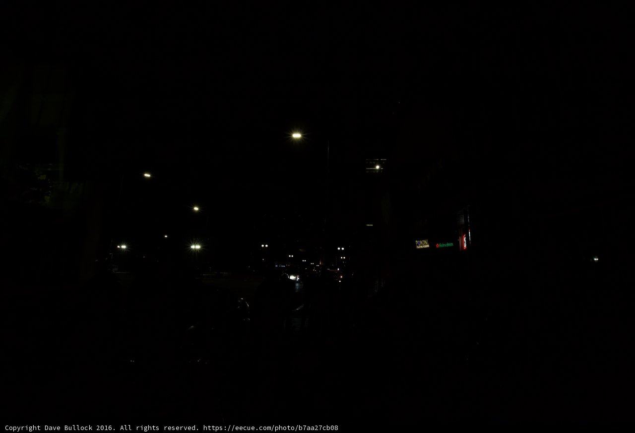 Night Lights in the Urban Jungle