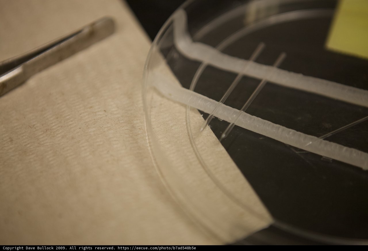 Microscopic Music Madness