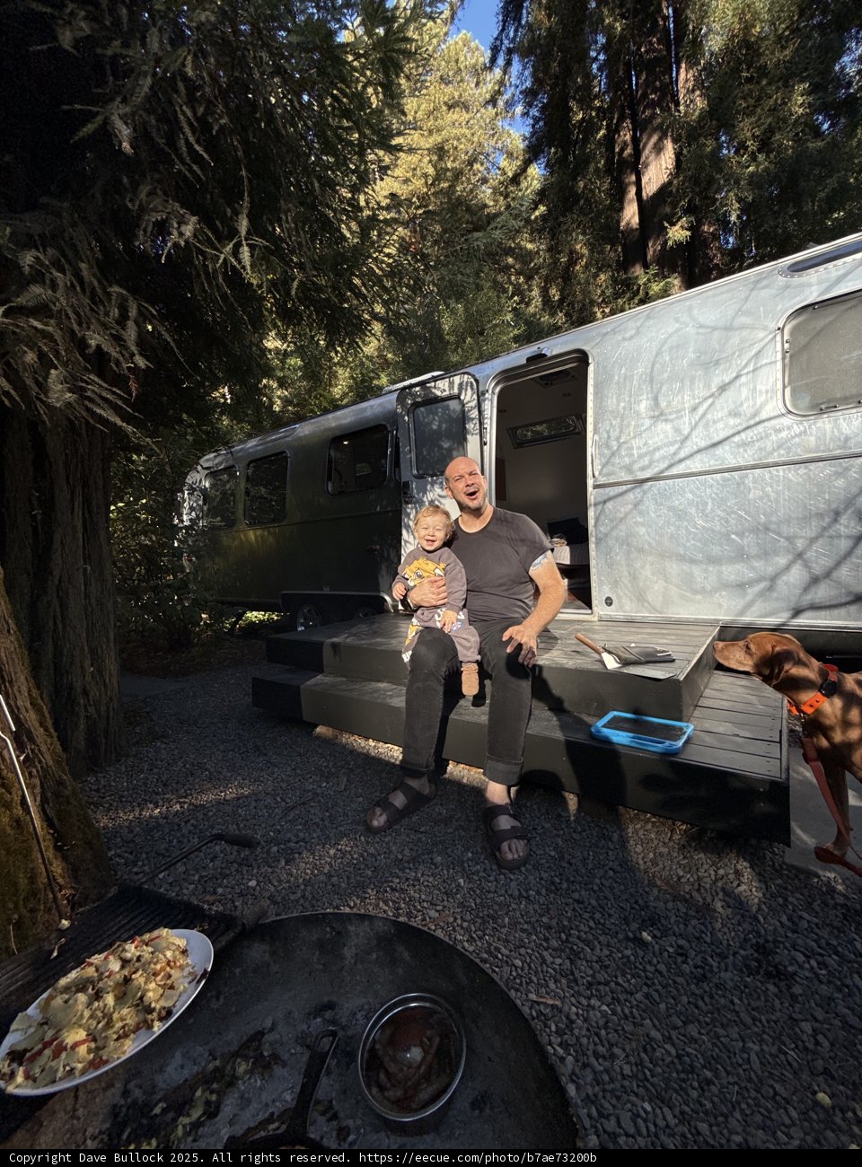 Morning Bliss in the Redwoods