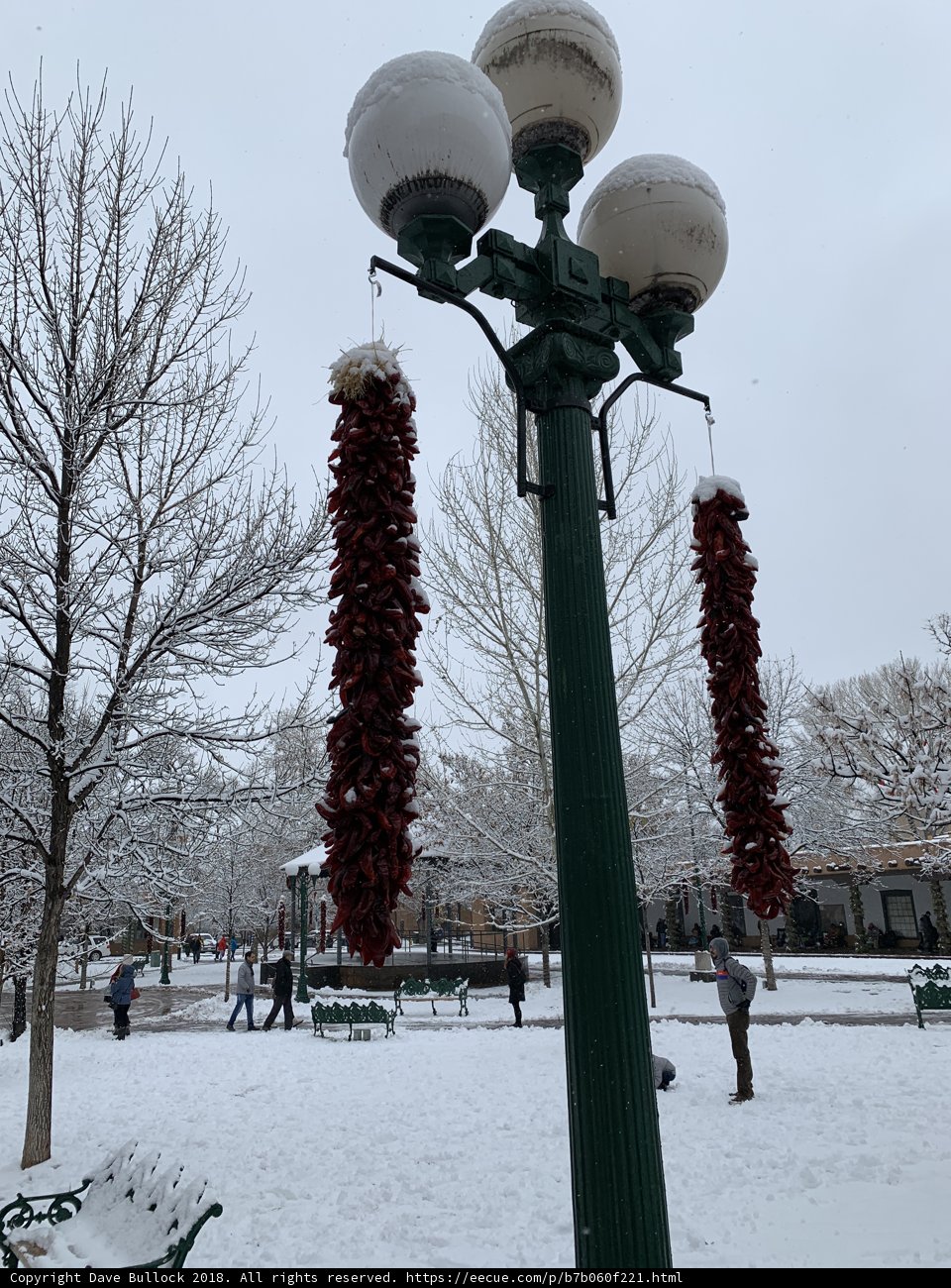 Red Pepper Street Light