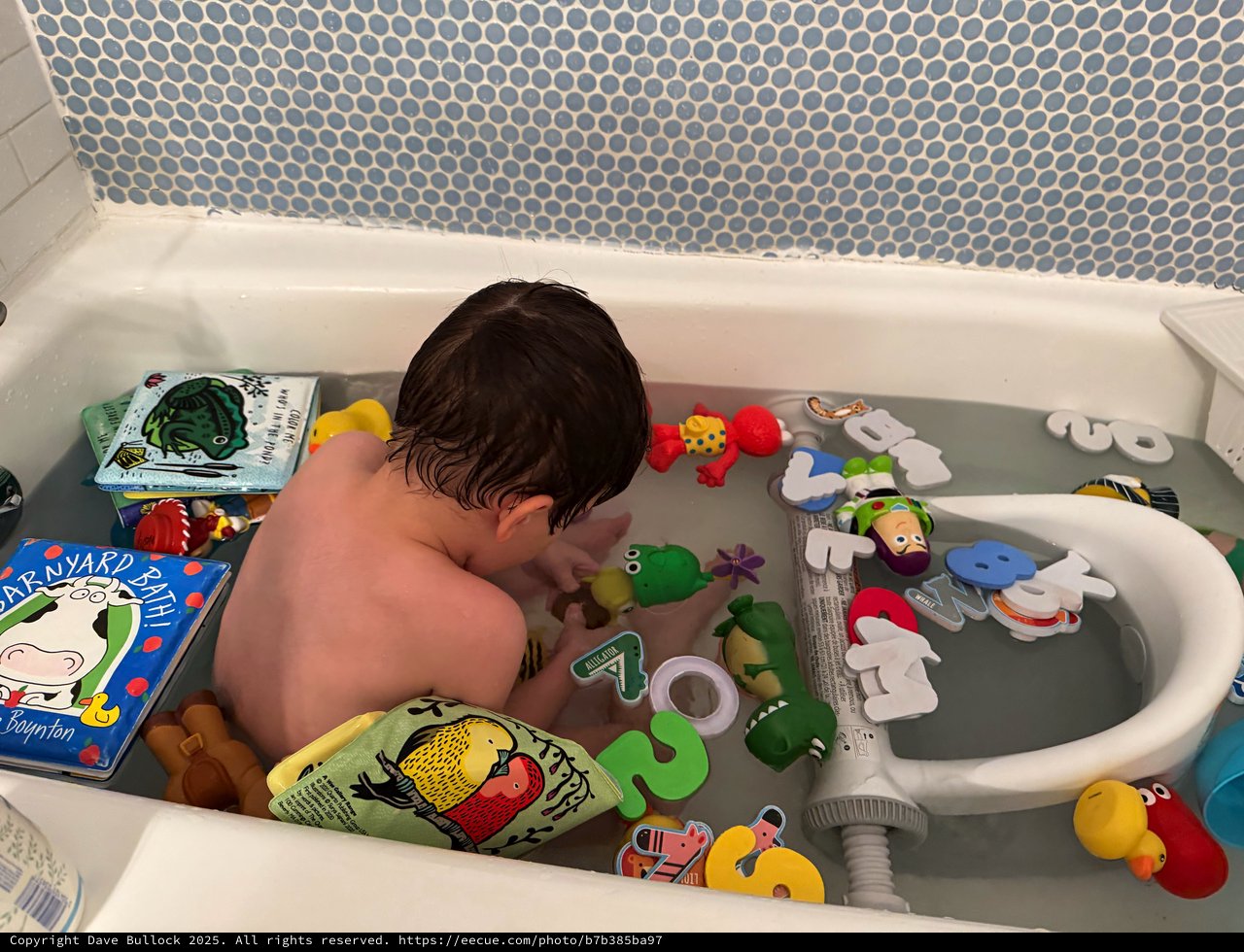 Toddler's Bath Time Learning and Play Session
