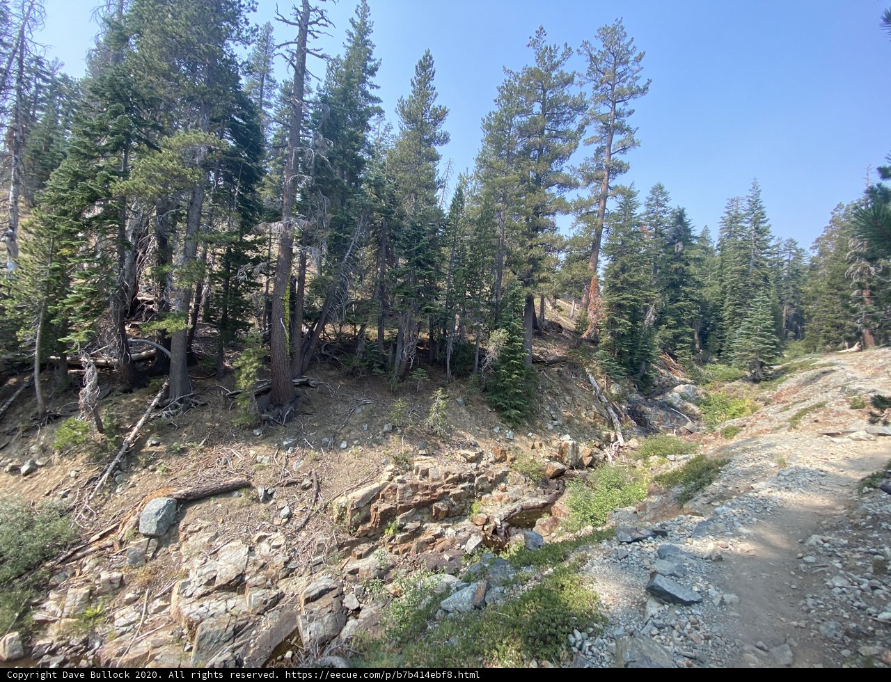 A Scenic Trail through the Desolation Wilderness