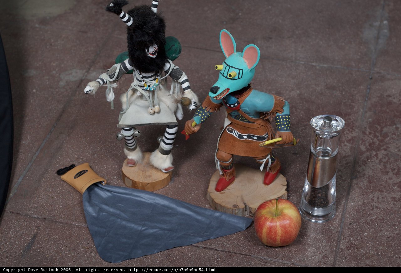 Zebra Couple with Fresh Fruit
