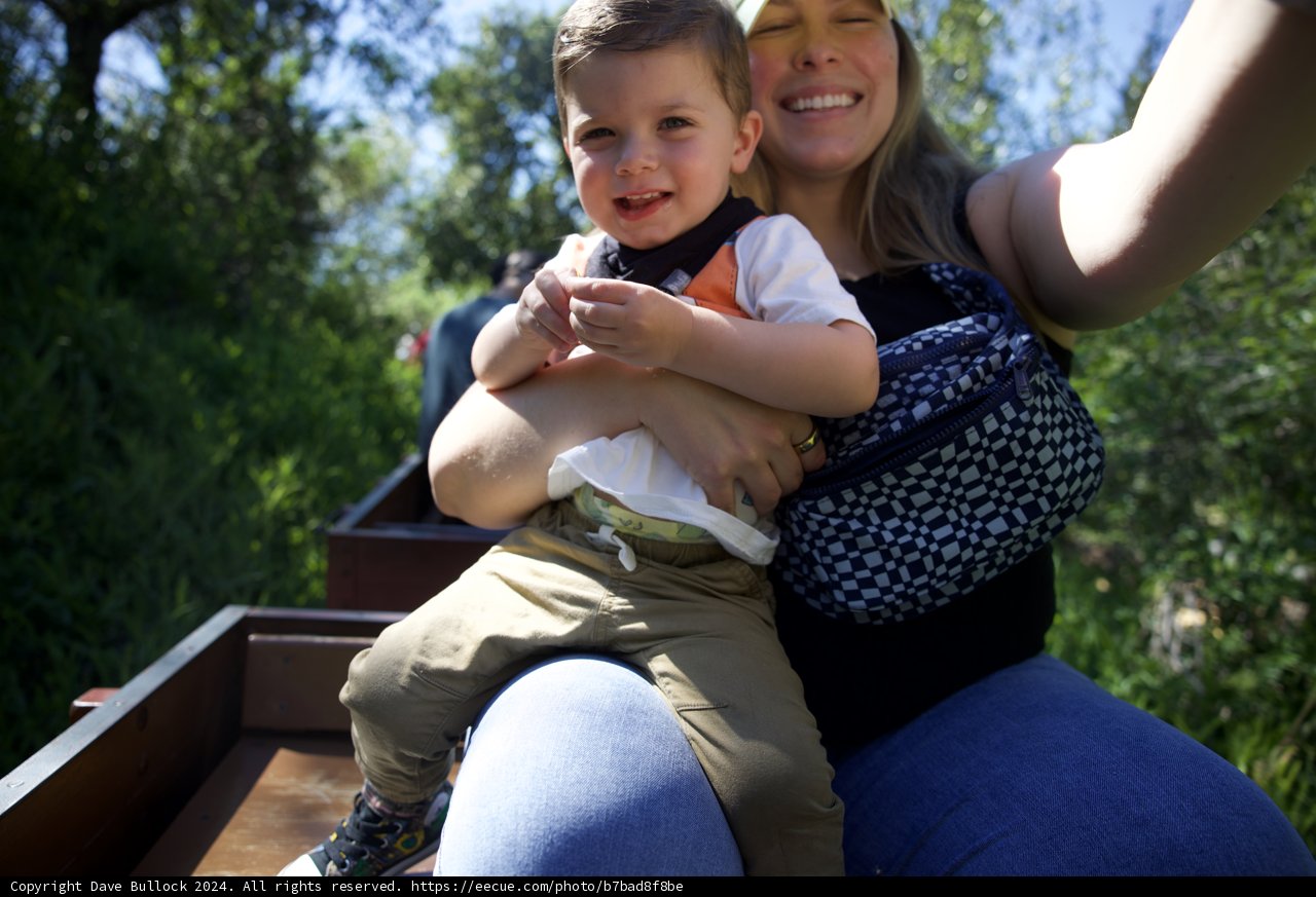 Joyful Moments in Walnut Creek