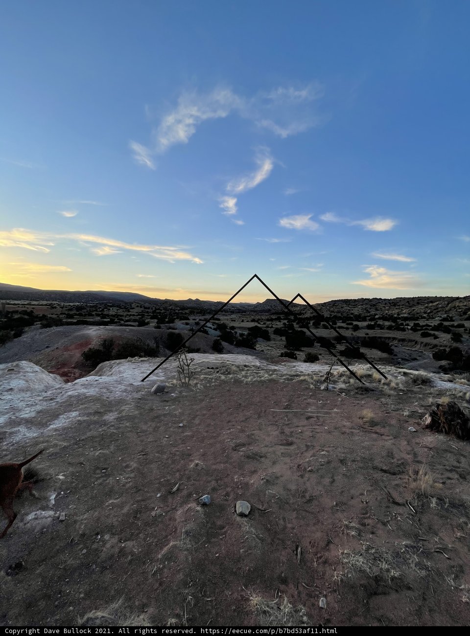 Man's Best Friend on a Rocky Landscape