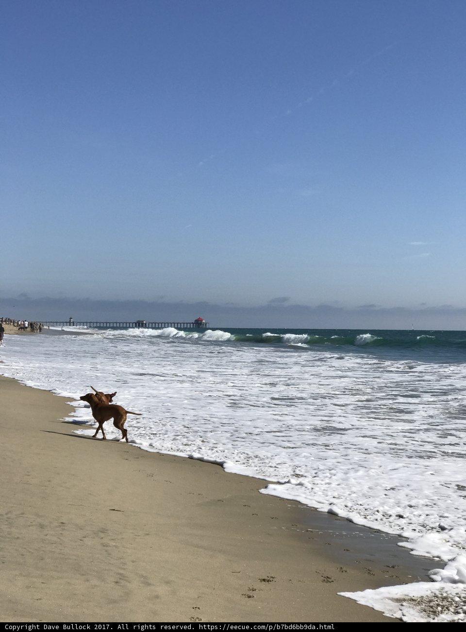 Running with the Waves
