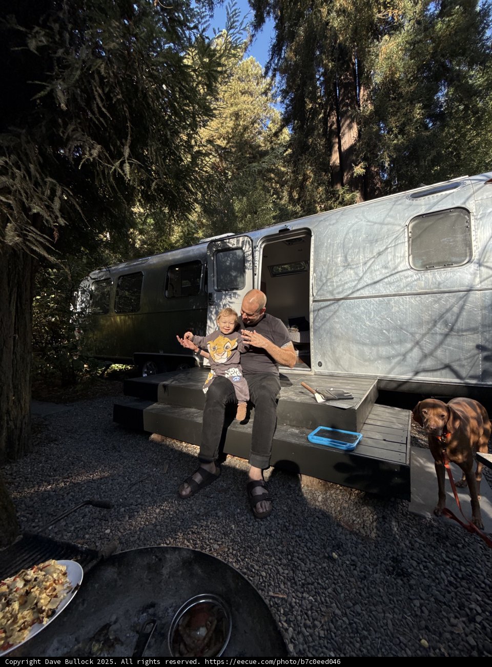 Caravan Harmony in the Redwoods