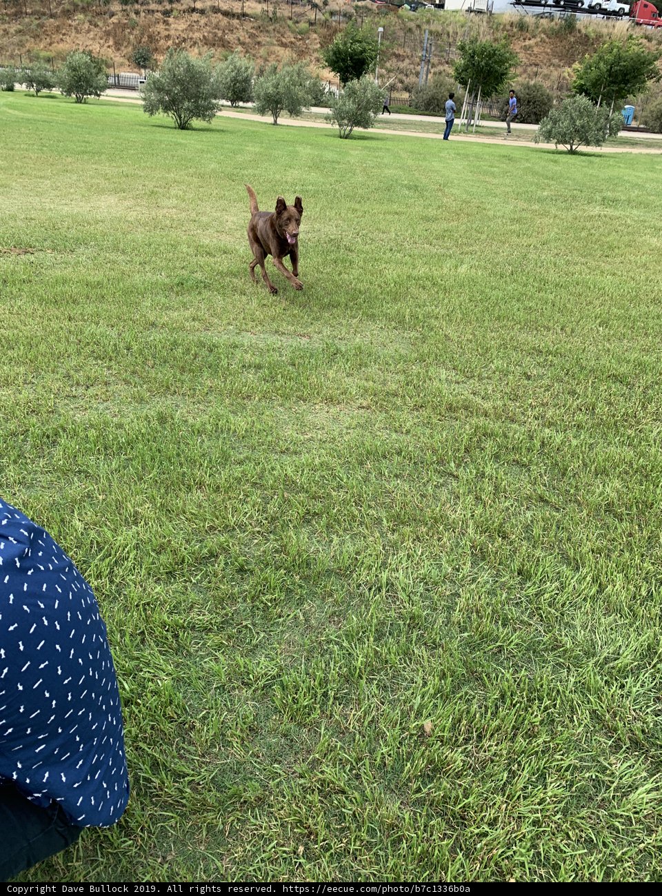 A Day in the Park