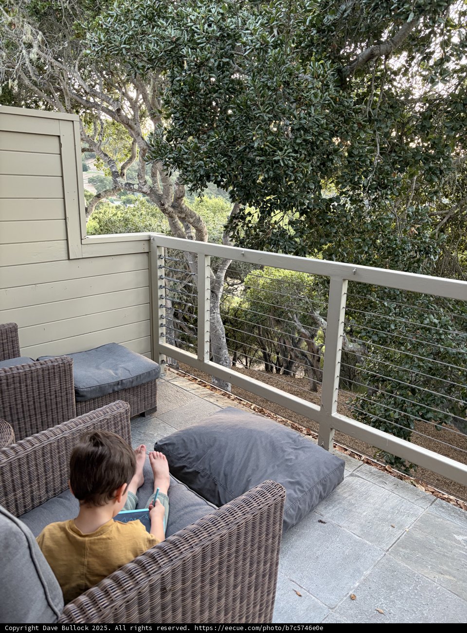 Tranquil Moments on the Balcony