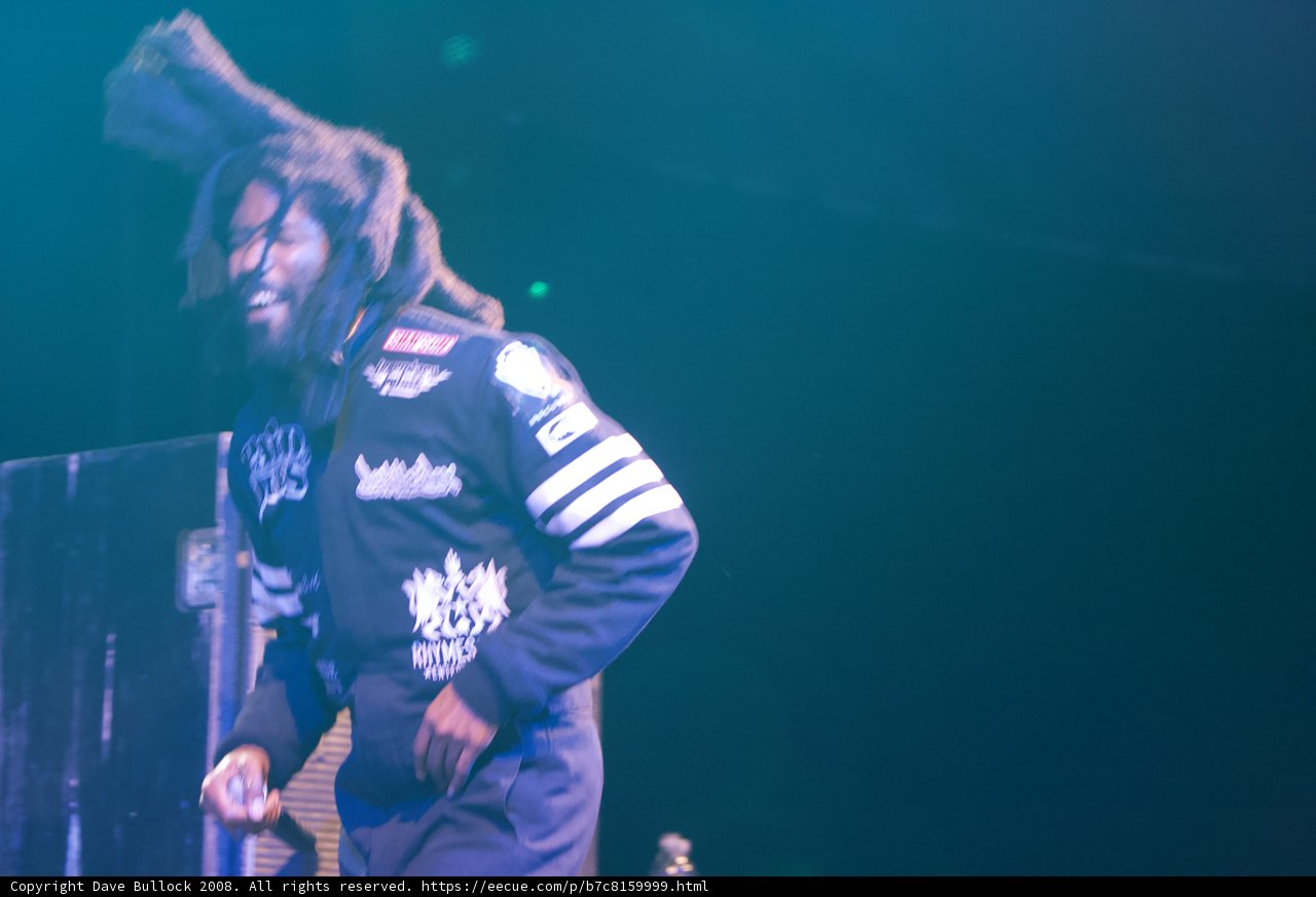 Performer with Dreads Rocks Coachella Stage