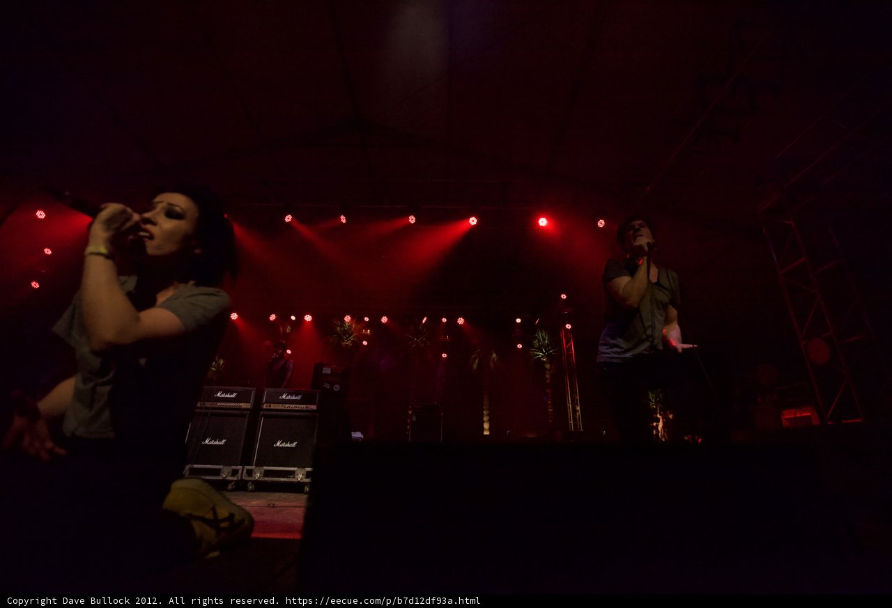 Red-Lit Rock Concert Performance