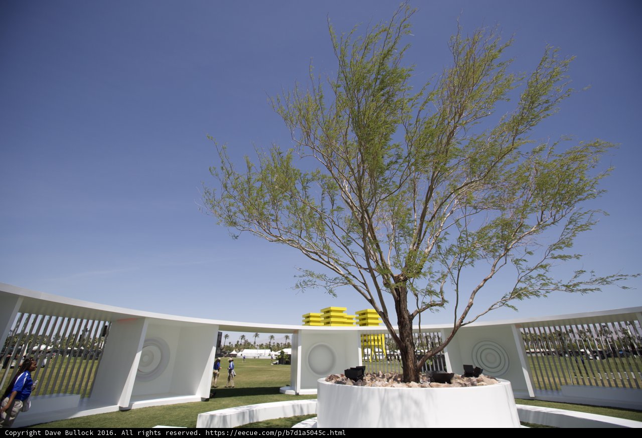 The Tree in White