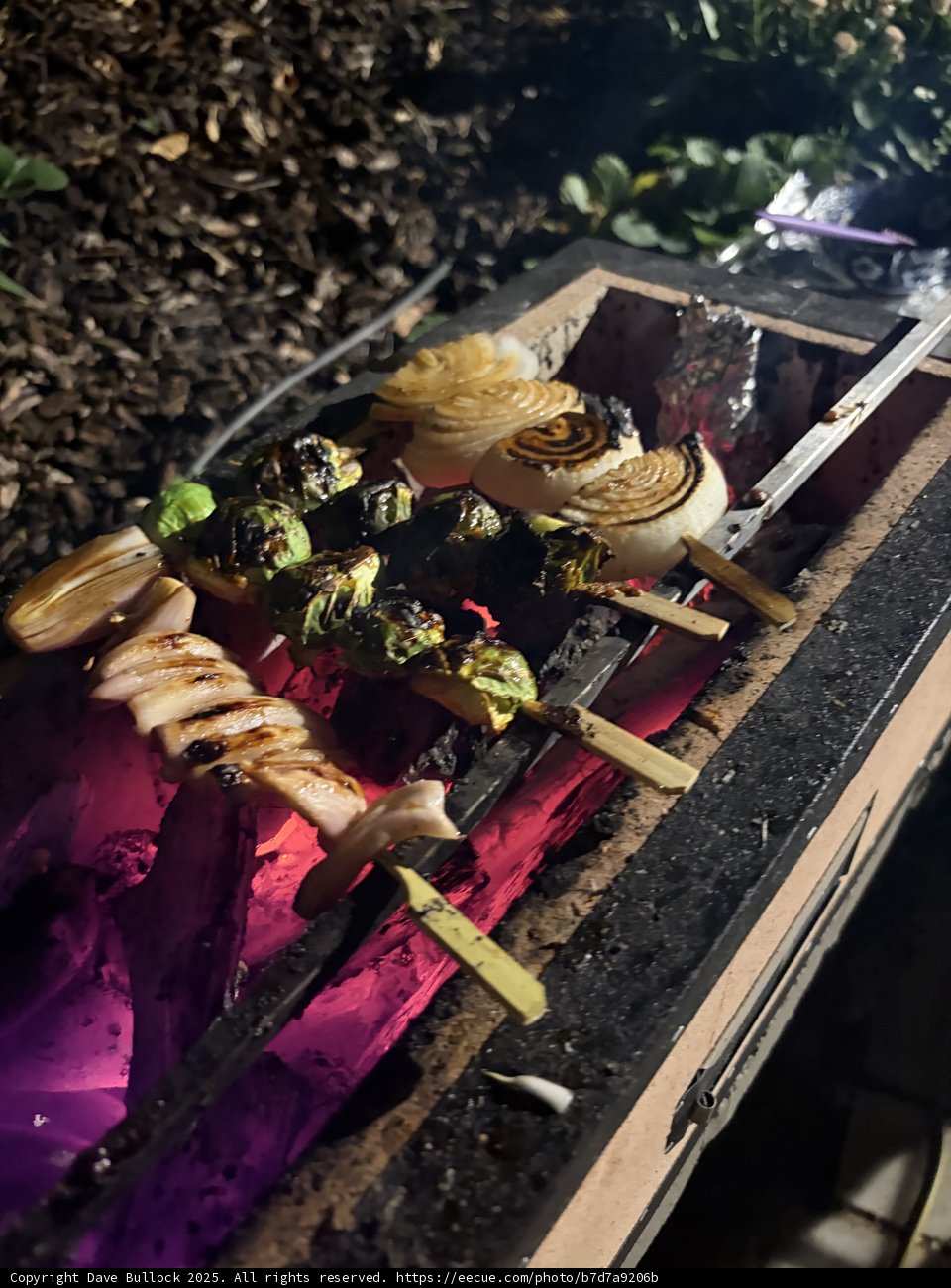 Sizzling Skewers Under the Stars