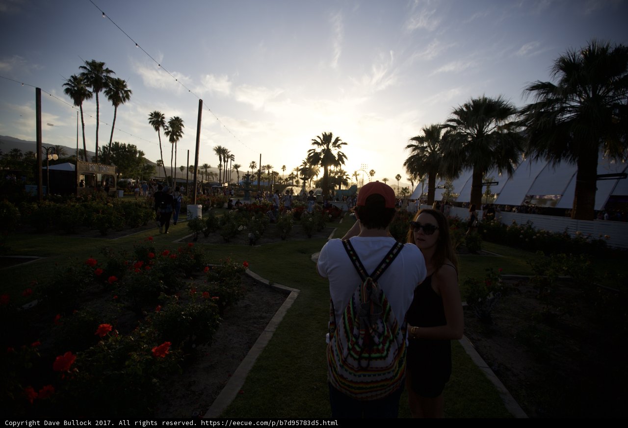 Sunset Serenade in the Garden