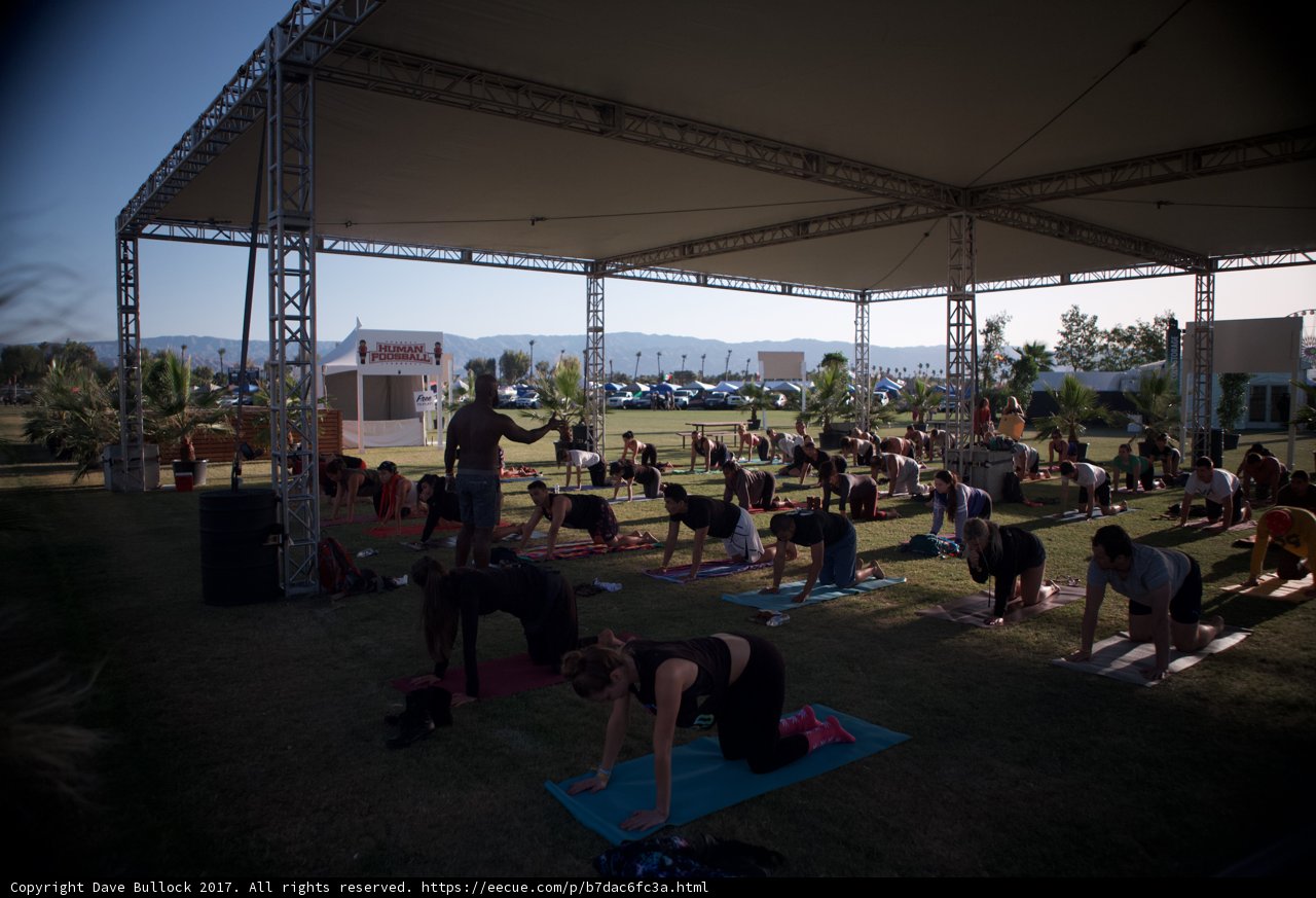 Yoga in the Field