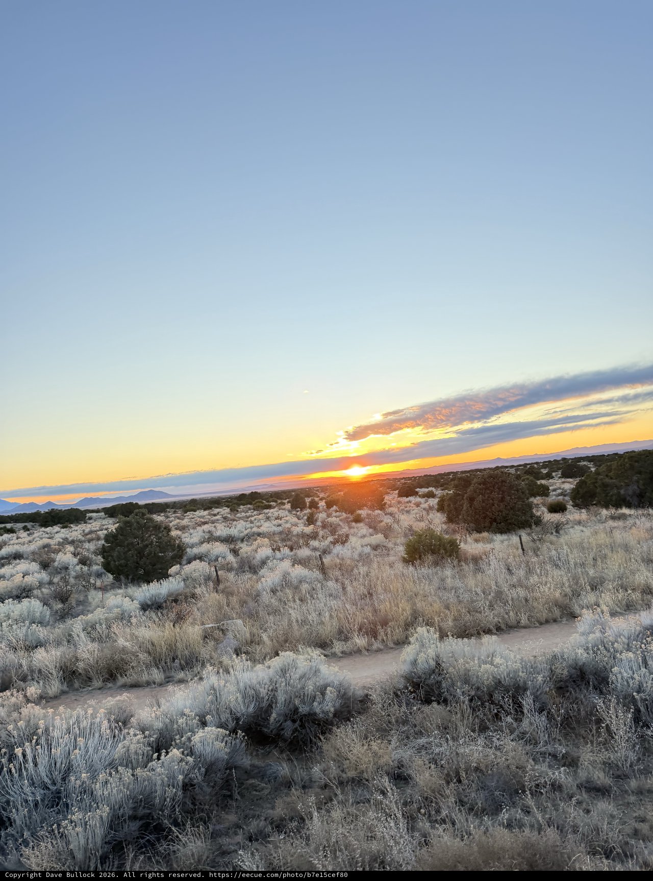 Desert Sunset Over Sagebrush Landscape in New Mexico