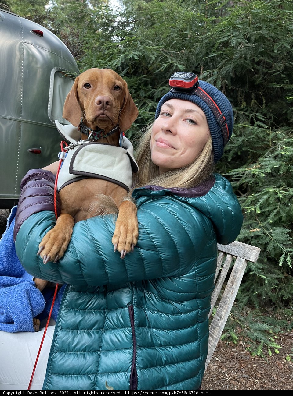 Blue Jacket and Canine Companion