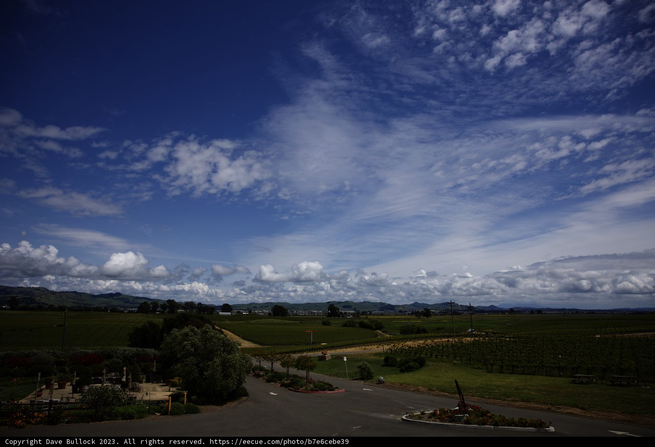 Breathtaking Vineyard Views from Above