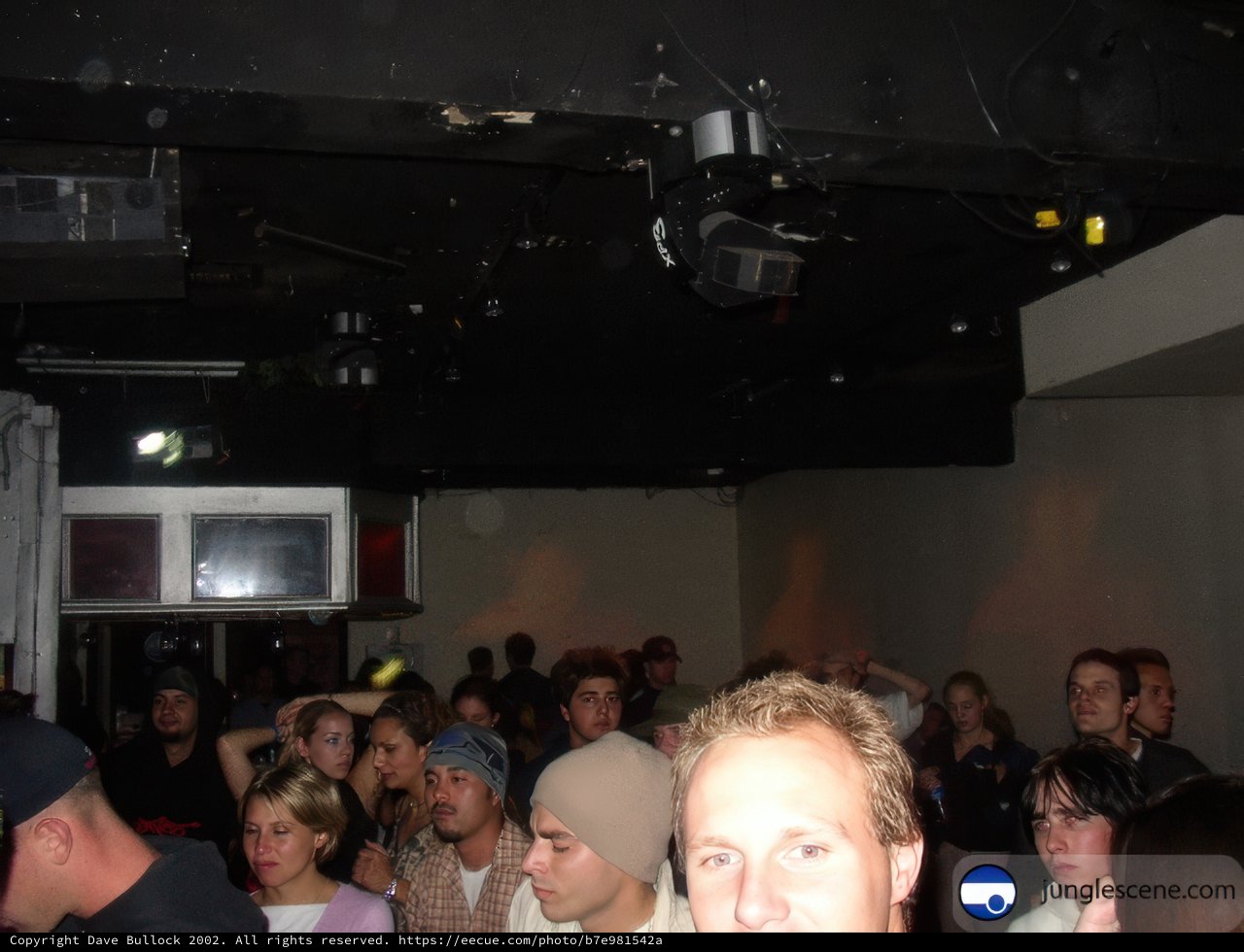 Nightclub Gathering