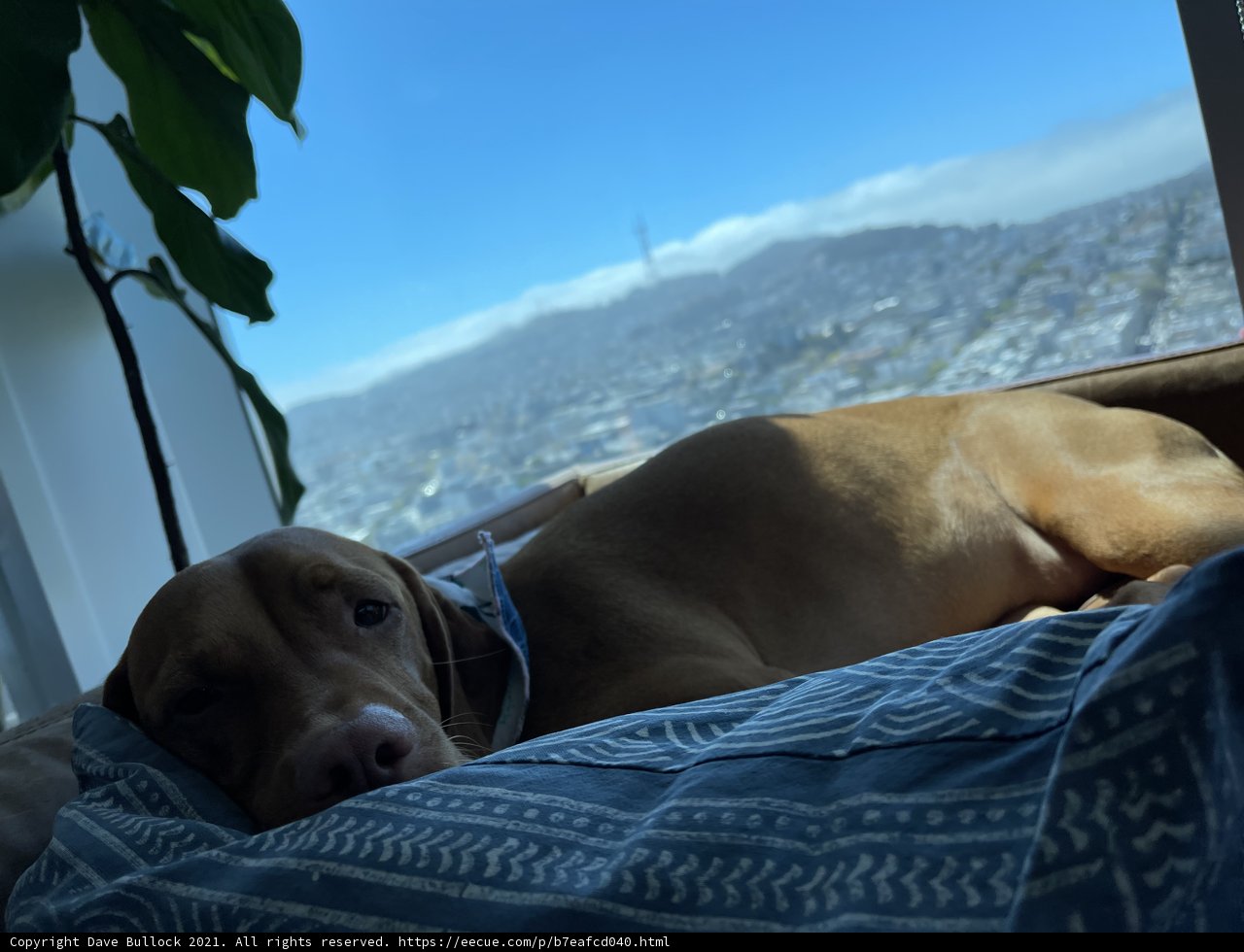 City View Snooze
