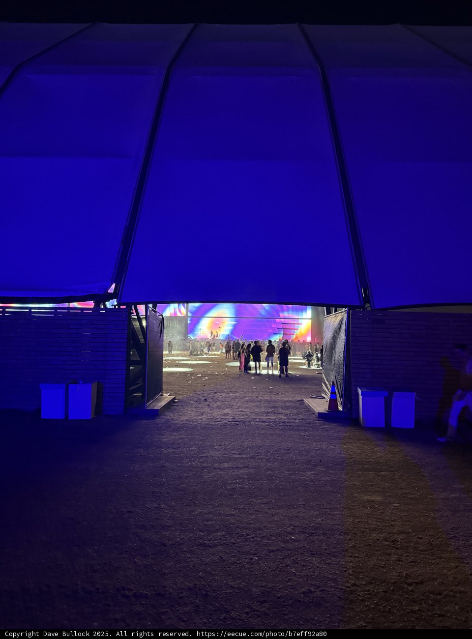 Gateway to the Night Vibrance