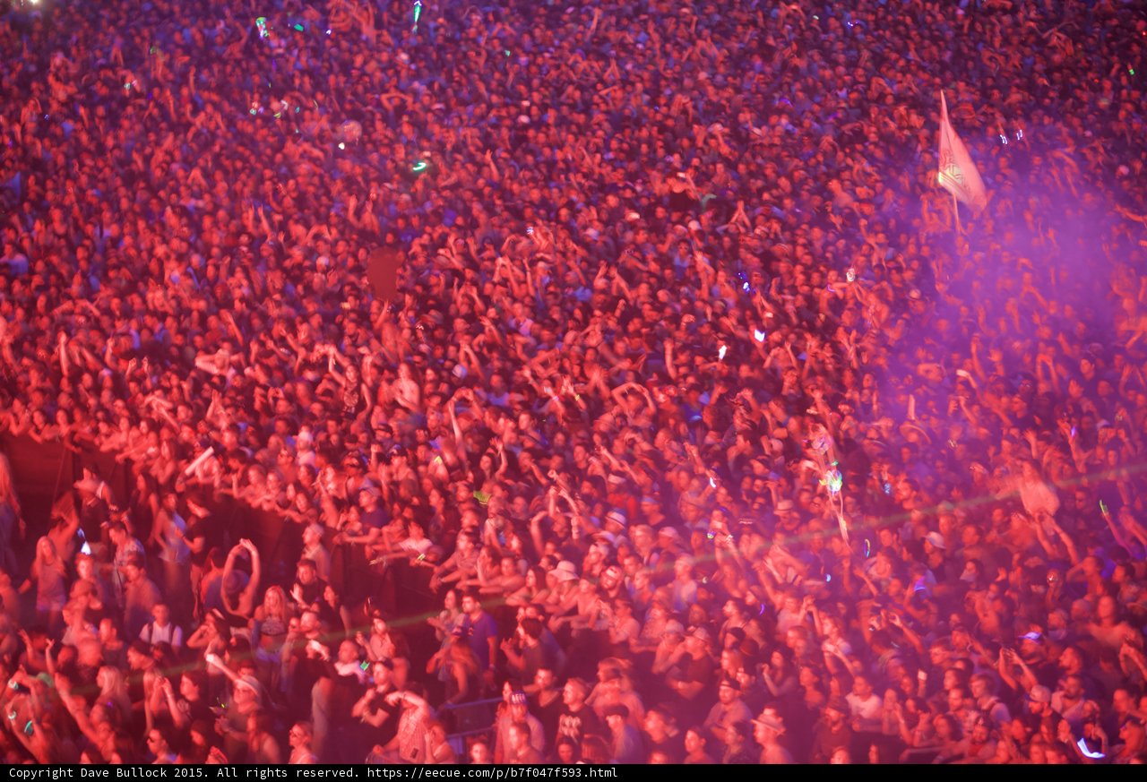 Nightlife at Coachella